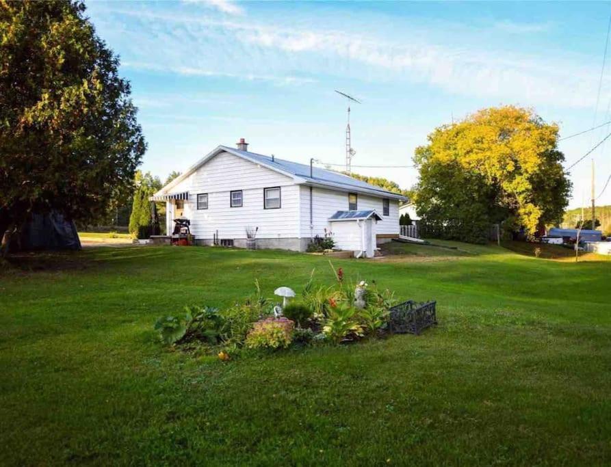 Private Cottage With Huge Private Dog Park! Barrys Bay Exterior photo